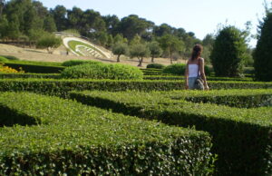 Cagliari sempre più green | In aumento piste ciclabili, ma meno aree pedonali