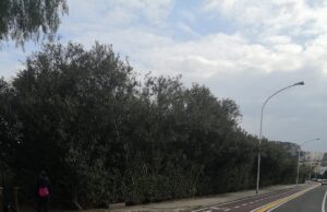 Ciclabile umana: flash mob per tutelare la sicurezza dei ciclisti