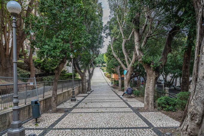 Giardino sotto le mura, potatura Ficus dal 28 al 31 marzo