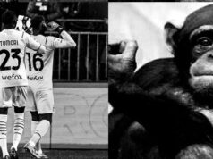 Cagliari-Milan | Maignan posta su Twitter una scimmia con il dito medio