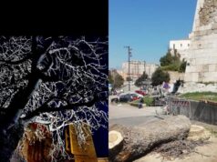 Cagliari | Se di Verde c’è solo la rabbia