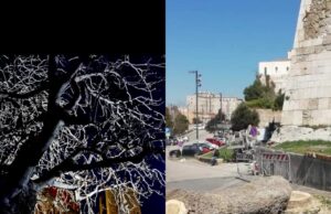 Cagliari | Se di Verde c’è solo la rabbia