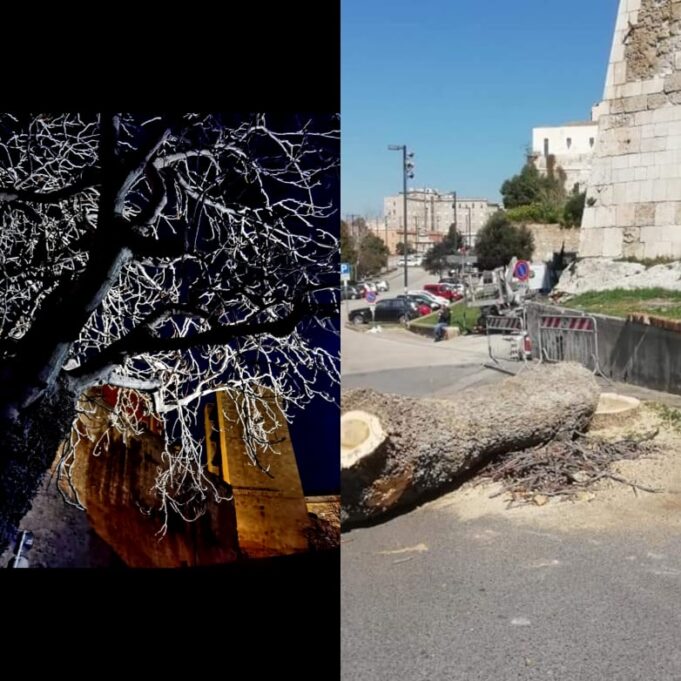 Cagliari | Se di Verde c’è solo la rabbia