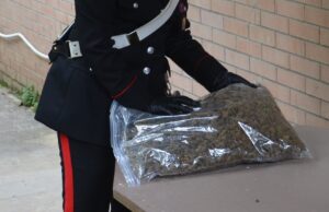Capoterra, oltre 7 quintali di marijuana nel capannone: arrestato 54 enne