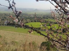 Tra green economy e agroalimentare | È nato il Distretto Rurale Marmilla Verde