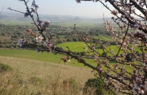 Tra green economy e agroalimentare | È nato il Distretto Rurale Marmilla Verde