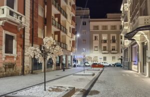 Dopo le potature selvagge nella “capitale del verde” arrivano le piante finte