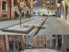 Alberi finti in vico Logudoro | Chi ha la competenza delle strade pubbliche?