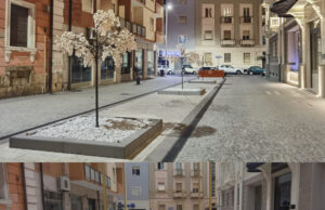 Alberi finti in vico Logudoro | Chi ha la competenza delle strade pubbliche?