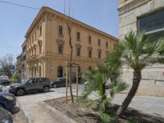 Nuova Jacaranda nel Largo Carlo Felice