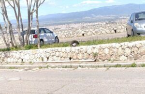 Cagliari, lampioni della luce pericolanti: tre crolli in poco più di un mese