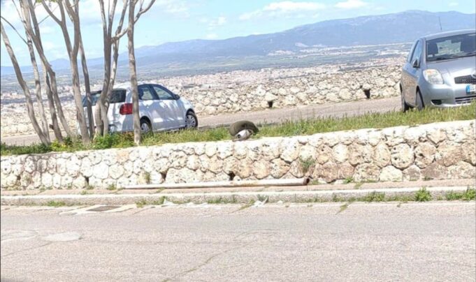 Cagliari, lampioni della luce pericolanti: tre crolli in poco più di un mese