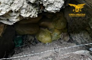 Vallermosa: 342 chili di droga nascosta sottoterra e in grotta