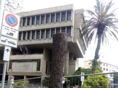 Verde pubblico (sempre meno verde): ora le forbici colpiscono in via Dante