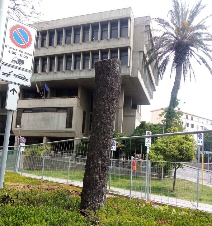 Verde pubblico (sempre meno verde): ora le forbici colpiscono in via Dante