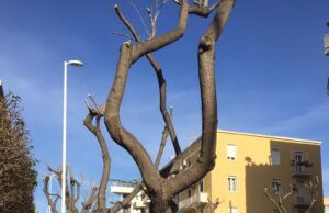 Cagliari ufficialmente candidata a Capitale Verde Europea 2024