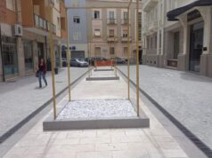 Alberi finti in via Logudoro: piante scomparse dopo le polemiche