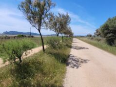 La normalità della rinascita | Con la bella stagione Cagliari dimentica la pandemia