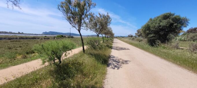 La normalità della rinascita | Con la bella stagione Cagliari dimentica la pandemia
