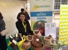 Agricoltura creativa: lampade e oggetti di design dai gusci di mandorla