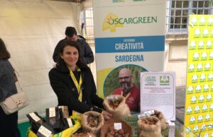 Agricoltura creativa: lampade e oggetti di design dai gusci di mandorla