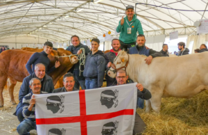Razze bovine, premiato il 90% dei capi sardi alla mostra nazionale
