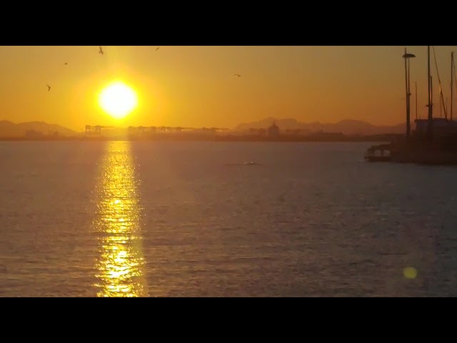 Pasqua al tramonto: i delfini danno spettacolo a Su Siccu | Video