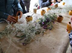 Festival delle erbe spontanee | Bacchetta: “Così si genera il rispetto dell’ambiente”