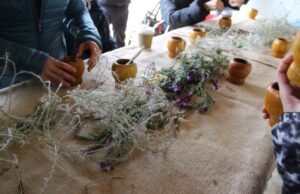 Festival delle erbe spontanee | Bacchetta: “Così si genera il rispetto dell’ambiente”