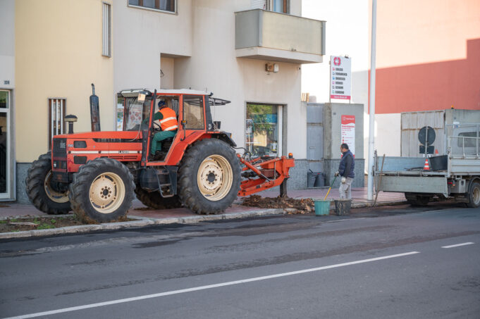 Pirri, iniziata la demolizione delle ceppaie di pini in via Italia