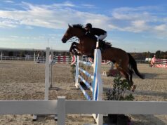 Ippica, accordo tra Sardegna e Corsica per ridurre i costi