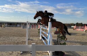 Ippica, accordo tra Sardegna e Corsica per ridurre i costi