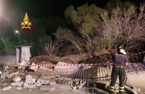 Mulinu Becciu: un grosso pino cade in via Tintoretto