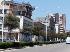 “Nuova mattanza di alberi a Cagliari?” | La denuncia ambientalista