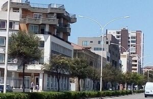 “Nuova mattanza di alberi a Cagliari?” | La denuncia ambientalista