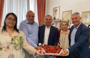 Alghero: sesta edizione della Sagra della Fragola