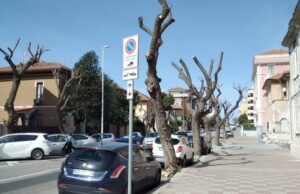 Verde pubblico: istituito a Cagliari il premio Sindaco Motosega 2022