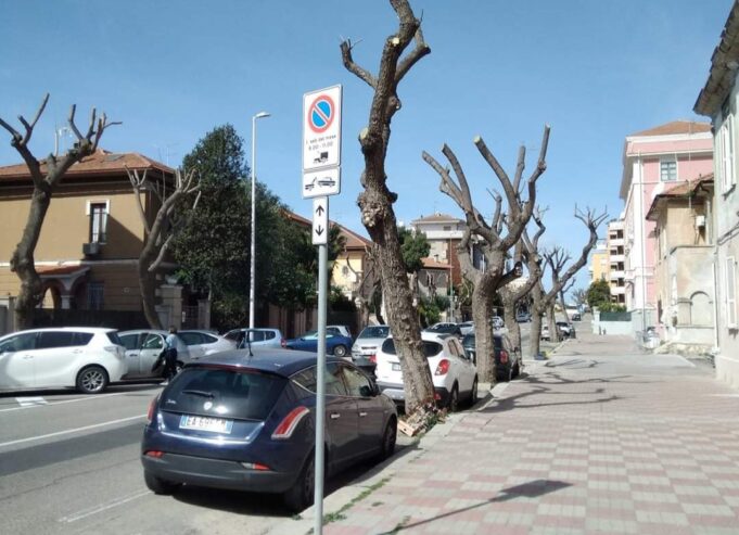 No alle potature selvagge | Sabato 28 manifestazione ambientalista