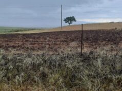 Cavallette: dal 2019 non si è mai fatto nulla per risolvere il problema