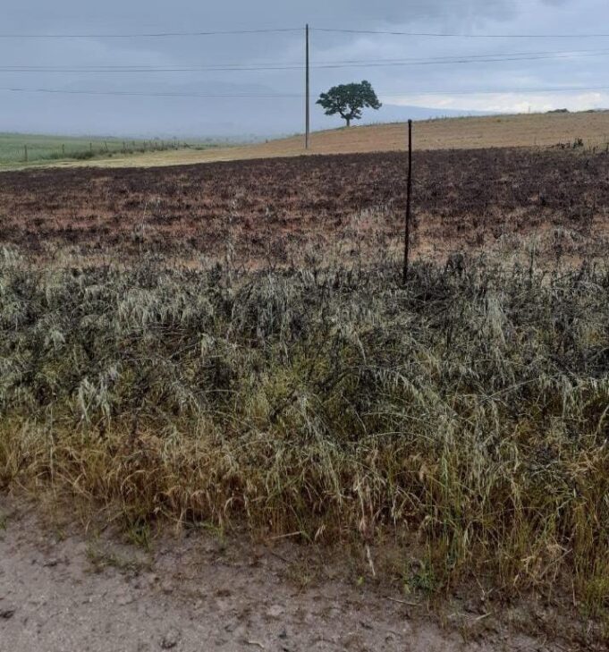 Cavallette: dal 2019 non si è mai fatto nulla per risolvere il problema