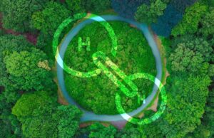 Pnrr, Vallascas (Alternativa): “Governo senza strategia, a rischio idrogeno verde”