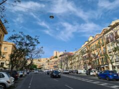 Alberi potati, Mulas (Progressisti): “Turisti e cittadini costretti al caldo torrido”