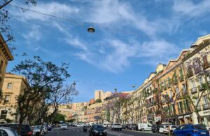 Alberi potati, Mulas (Progressisti): “Turisti e cittadini costretti al caldo torrido”