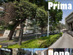 Lavori in via Dante, scomparso il filare di alberi capitozzati