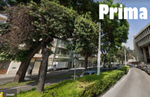 Lavori in via Dante, scomparso il filare di alberi capitozzati