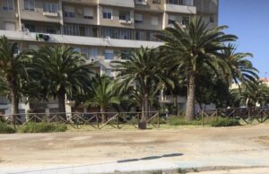 Invasione di zecche a Cagliari | Polastri: “Intervenire subito”