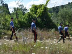 Furto di cinquanta balle di fieno, denunciato 50enne