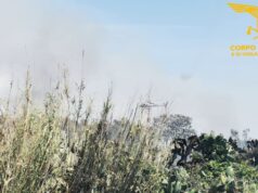 Nell’isola torna la piaga degli incendi, ma qualcuno pensa a come prevenirli?