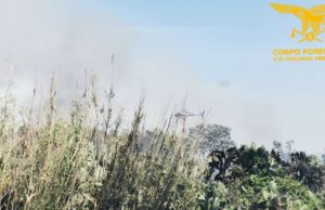 Nell’isola torna la piaga degli incendi, ma qualcuno pensa a come prevenirli?