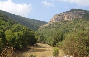 Trovati i resti di una città costruita in Galilea dai sardi 12 secoli prima di Cristo